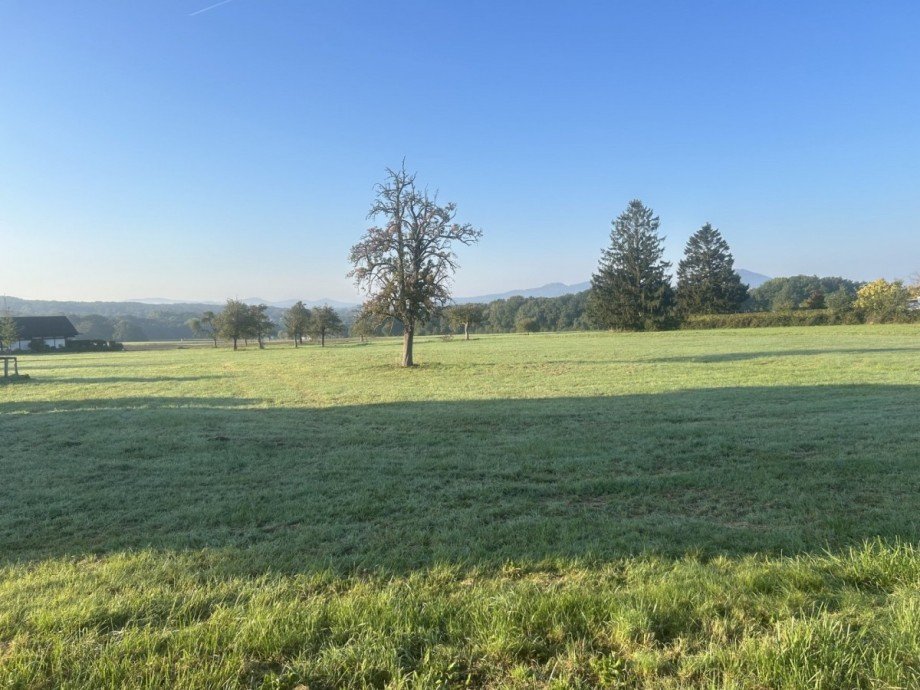 Grundst�ck Wohngrundst�ck K�nigswinter