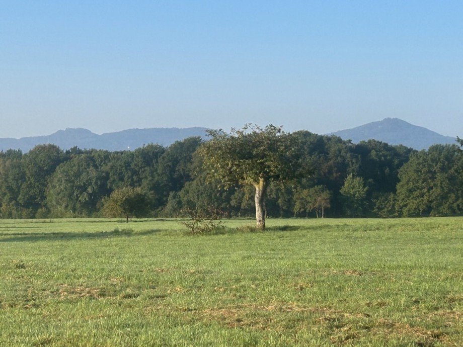 Grundst�ck Wohngrundst�ck K�nigswinter