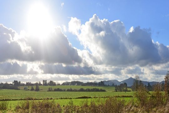 Ausblick