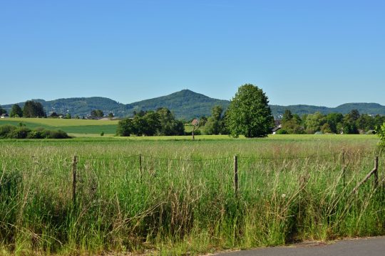 Grundstück