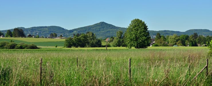Wohnen mit Weitsicht – sonniges Grundstück,ideal für EFH, DHH oder zwei Häuser!