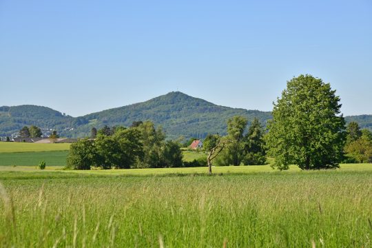 Ausblick Ölberg