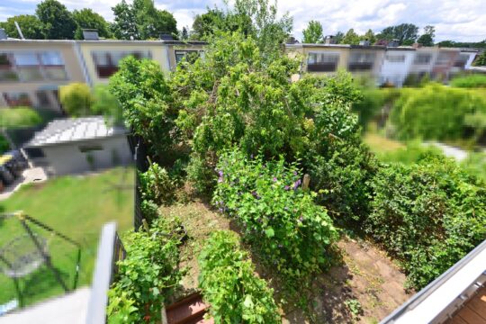 Ausblick in den Garten